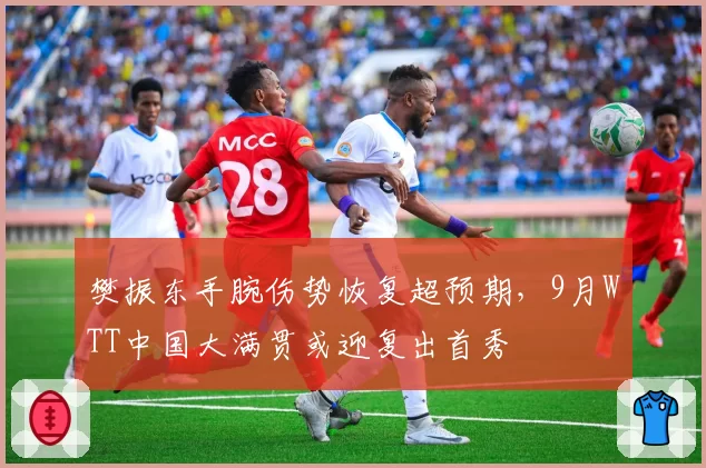 樊振东手腕伤势恢复超预期，9月WTT中国大满贯或迎复出首秀